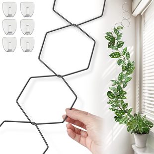 Cross-border Amazon Plant Climbing Stand Climbing Vine Stand Mountain Tortoise Flower Stand Basin Stand A String of Iron Circle Climbing
