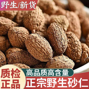 ��ƷҰ��ɰ����ș��500g���ڴ�ɰ��ëɰ���Ҝ���ˮɰ�ʷ������{��