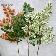 �����zƬ�L�~��֦�ɼ٘�֦�Ř�֦��֦DIY�廨����b�c�b�