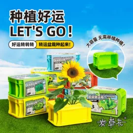 盆栽;科学实验玩具;创意礼品套装