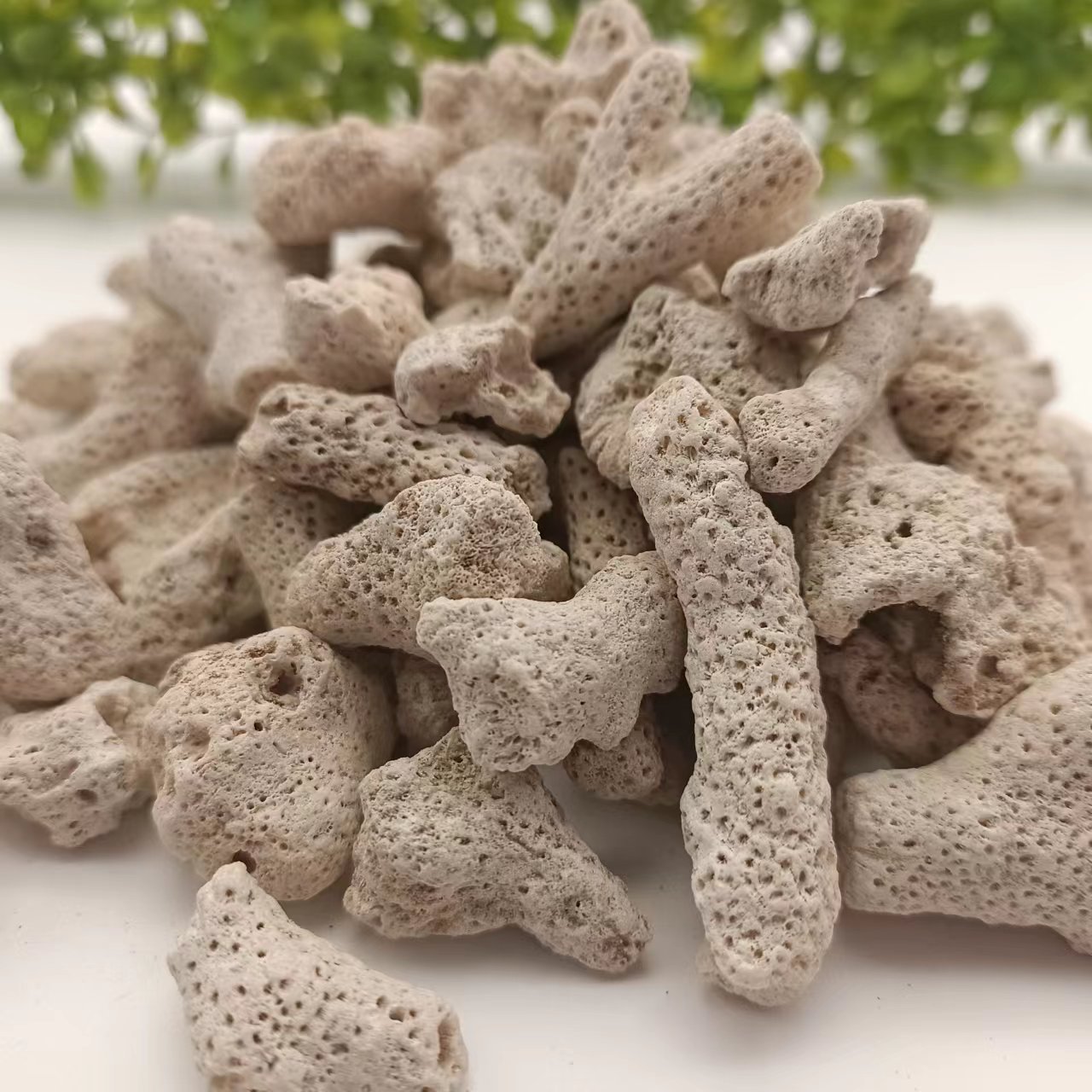 珊瑚骨 鱼缸造景珊瑚骨  底沙过滤材料珊瑚骨   海鲜池珊瑚沙石
