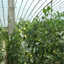 �߲˴����S���������ѵ��K���������K������֦�����K���������K��