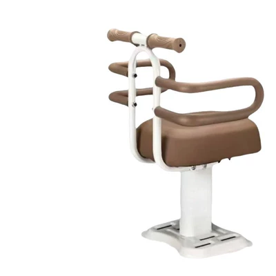 Baby Seat, Second Child, Electric car child seat
