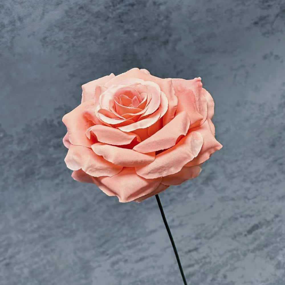 Tela de seda - Firma Diamond Rose Row - Café claro