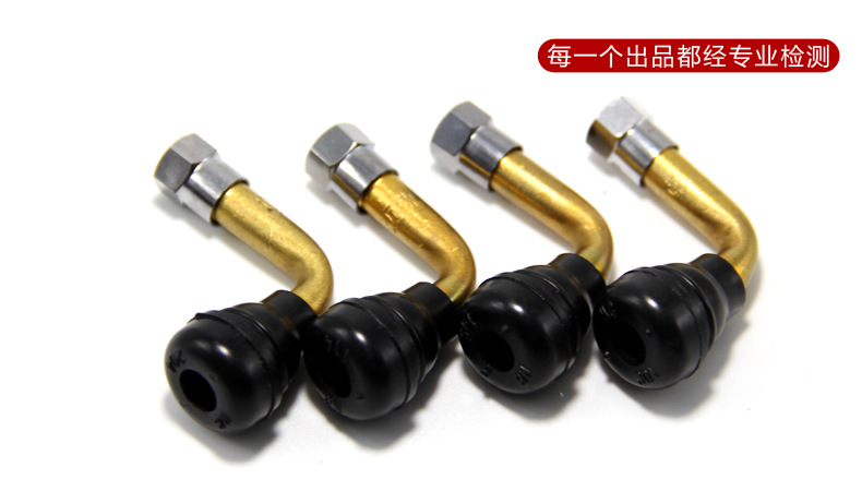 Mike Electric Vehicle Valve Vacuum Tire Valve Tire Valve Electric Vehicle Motorcycle Tricycle Air Wholesale