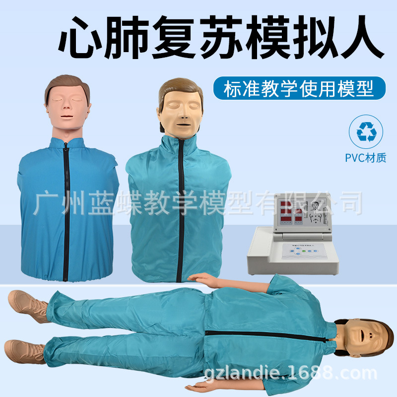 Artificial respiratory physiological heart for training