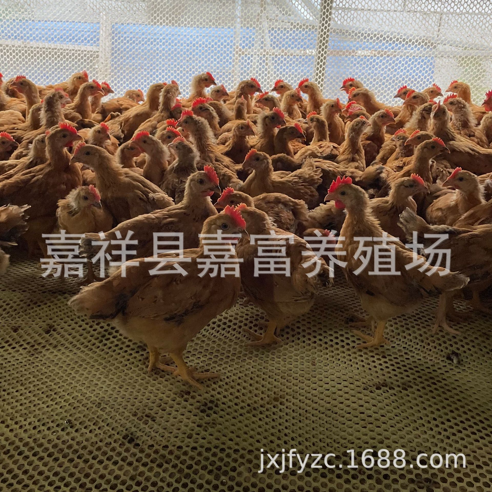 微信图片_202209281218452.jpg