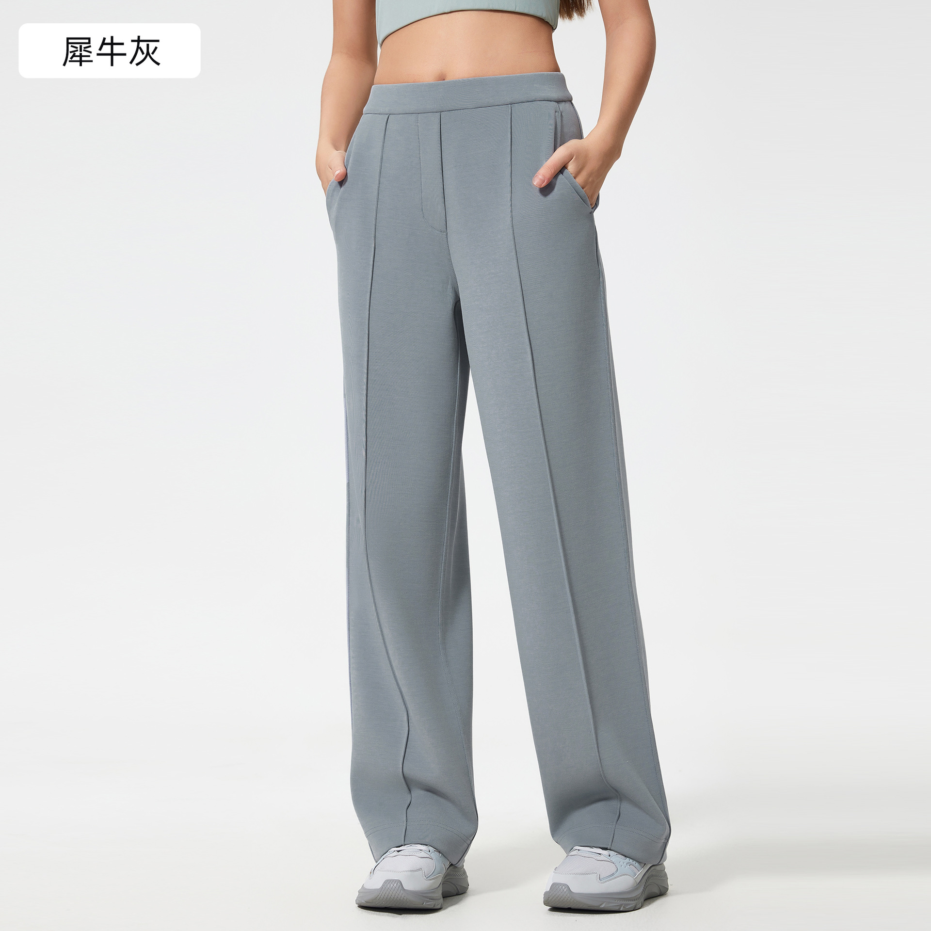 코뿔소 회색