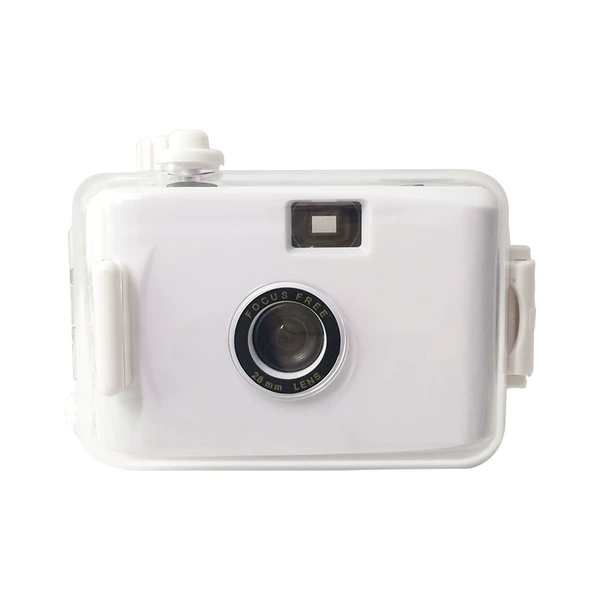 White shell