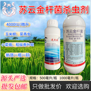 �����K녽�U������x������������x�����xС�˶���z�x���