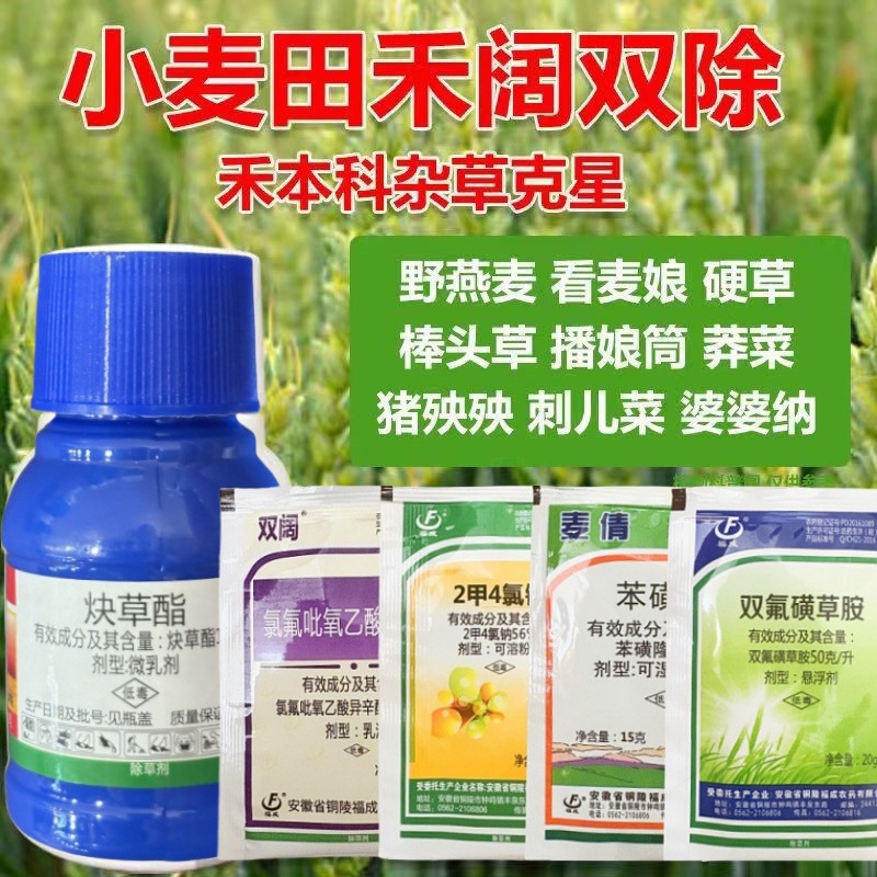 小麦除草剂苯磺隆双氟磺草胺炔草酯燕雀麦麦篙荠菜野麦田杂草专除