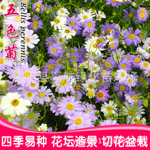 ɫջNļ׻_҃ԼСջNͥԺܷN