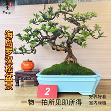 _h͘辰ƷϘԾGֲk҃ȿ͏dBlؔ