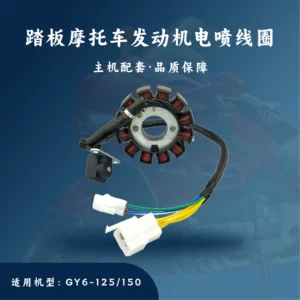 Gy6-125/150Cc Skuter üçün Efi Alovlanma Bobini, 12-Qütblü Maqneto
