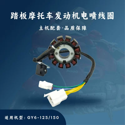 Efi Ignition Coil for Gy6-125/150Cc Scooter, Compatible with Efi System, 12-Pole Magneto (Motorcycle engine and accessories)