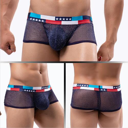 Men's underwear performance see-through ultra-fine mesh bag low waist U convex wide edge small boxer shorts wholesale men's E076B