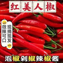 农家现摘5斤美人椒新鲜辣椒鲜红辣椒海花红二荆条泡椒辣椒酱剁椒