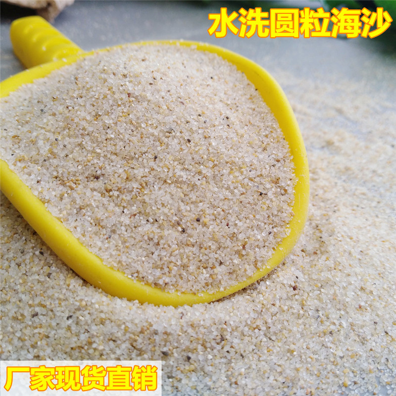 圆粒儿童海沙白沙苏州30-50目公园沙池用海砂 学校跳远沙坑细沙
