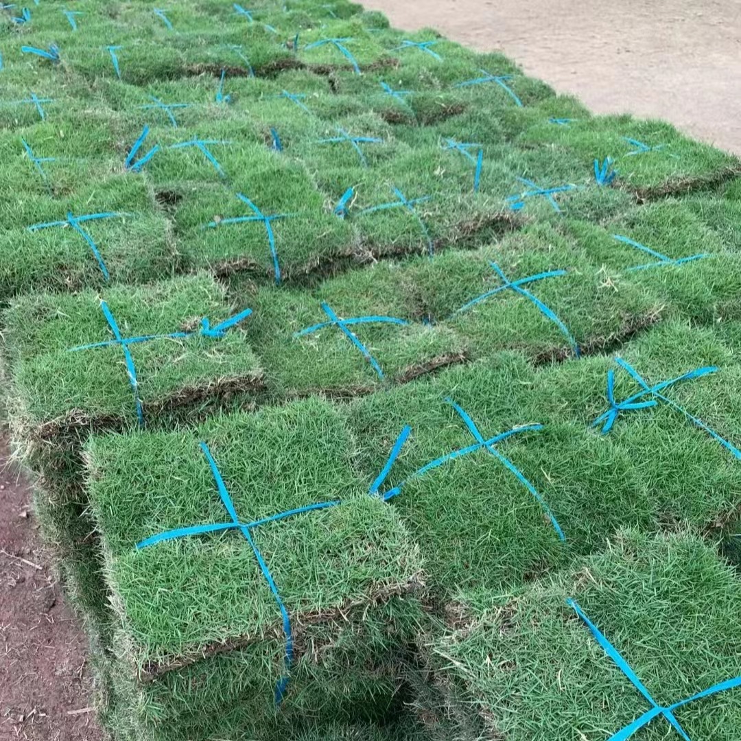 fe795a4f73284c2d9a5402e3323ced