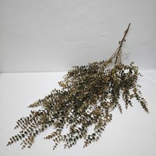 �Gֲ�zӰ�ȼ����~���ټҾ��b���ֲ��ڒ�ٻ���c���X·�����z