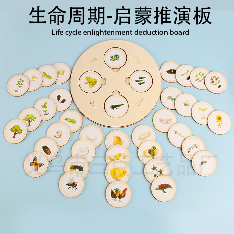 Bebé de madera animales y plantas ciclo crecimiento Montessori iluminación niños DIY educación temprana juguetes cognitivos