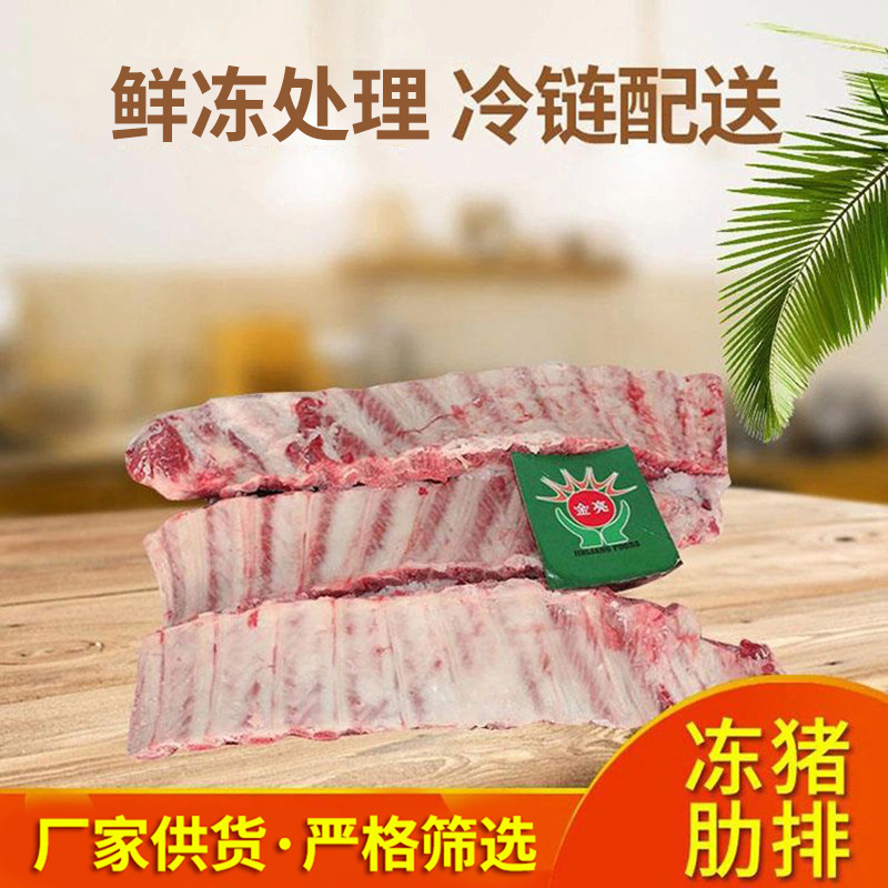 供应肋排段 猪大排 冷冻猪肉 新鲜猪排肉 厂家供应