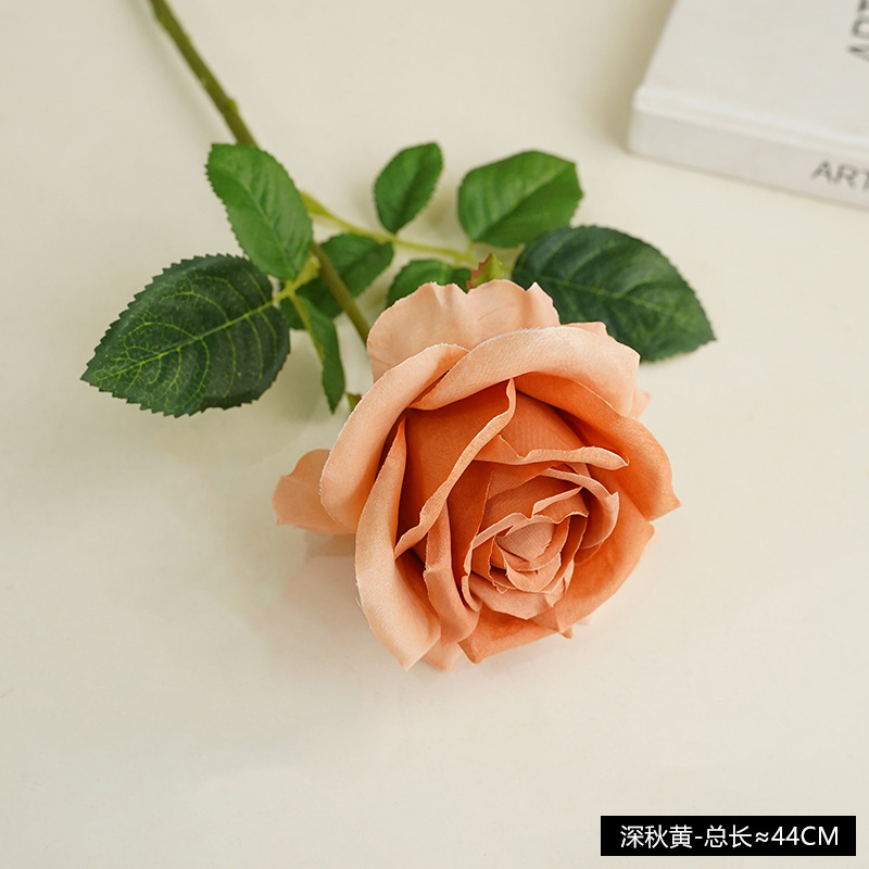늦은 가을 노란색