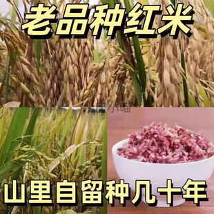 �F����Ʒ�N���׼t�״ּZ���aꠕr���r������ЙC�Nֲ��ѭ�h����