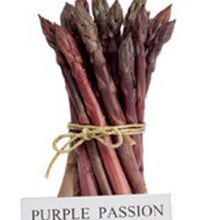 专业代理美国原装进口高档水果型紫芦笋种子-紫色激情芦笋种子等