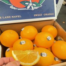 美国3107黑标橙子脐橙进口橙子新鲜水果商用整箱甜橙时令橙子当季