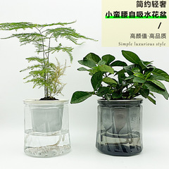 Transparent light luxury INS Feng Shui green plant imitation glass crystal pot decorative shelf accessory self-watering thick resin flower pot
