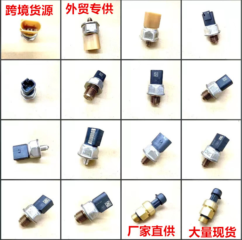 燃油压力传感器 (1)