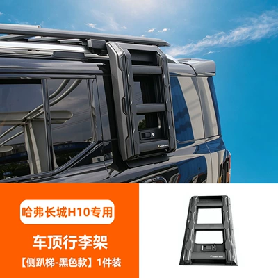 Mounting Holes, Made of Aluminum Alloy Material, with – Roof rack - roof-rack-side-ladder-black-model-1-piece