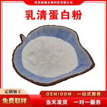 乳清蛋白粉 速溶乳清蛋白粉 浓缩乳清蛋白粉 精准含量 批发