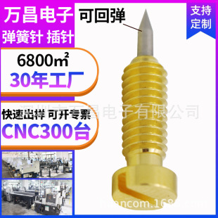 Non-Standard Customized Pointed Threaded Spring Pin High Current Copper Contact Shock-Proof Structure Battery Conductive Probe Screw Mouth