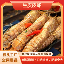 ƤƤ�r�r���r���ӳ���ƤƤ�r���r���r���r�F������r