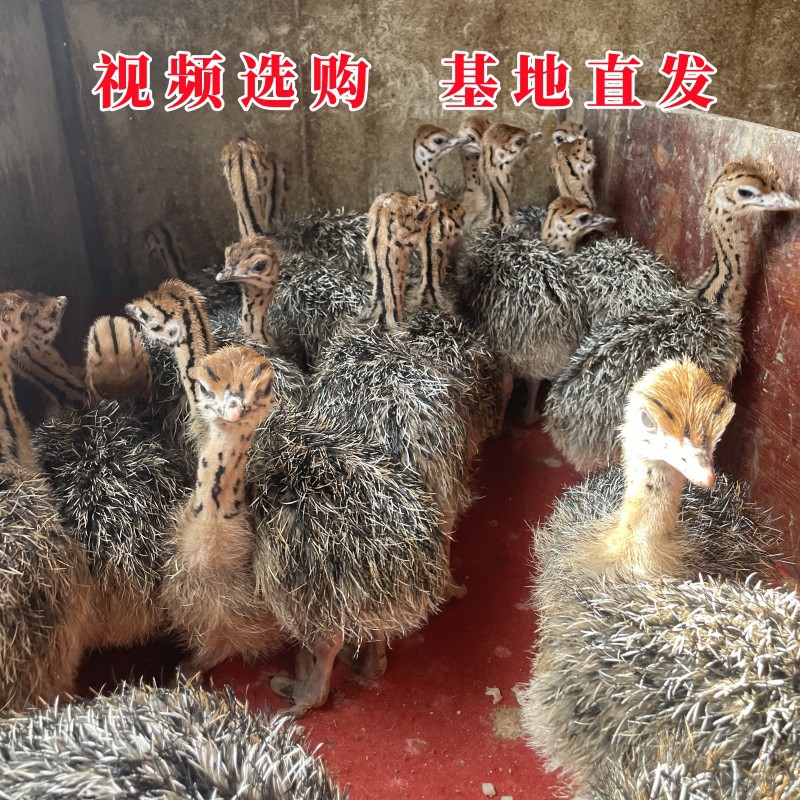 微信图片_20230308091029_副本