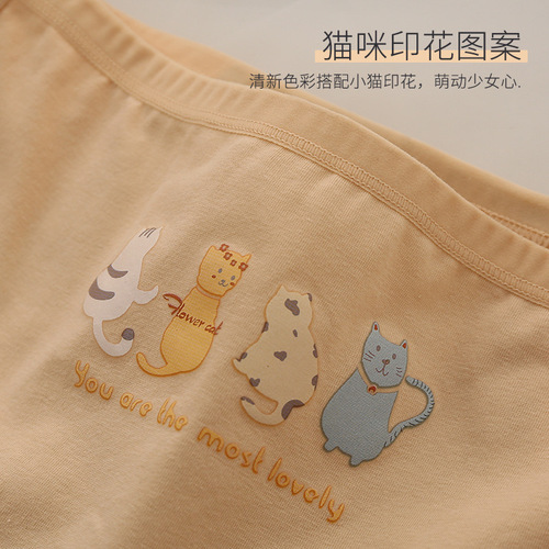 Sanitary period underwear for women, leak-proof during menstruation, large Auntie pants, pure cotton bottom, mid-rise, pure cotton for girls, supports dropshipping