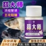 高浓野钓开口大蒜粉饵料