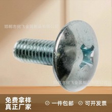 厂家十字大扁头螺钉汽车牌照电动车蘑菇头伞头特大帽大扁圆头螺丝