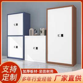 电子保密柜 钢制加厚指纹保密柜 钢制保管柜收纳管理柜保密文件柜