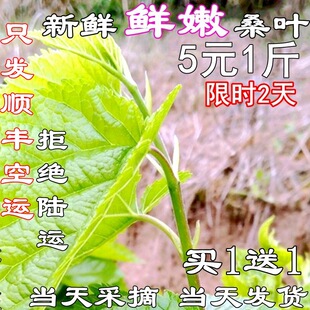 ���rɣ�~�۬Fժι�Q�ͽ�z�Q�����W���B�Q���b���~ɣ���~����Q��