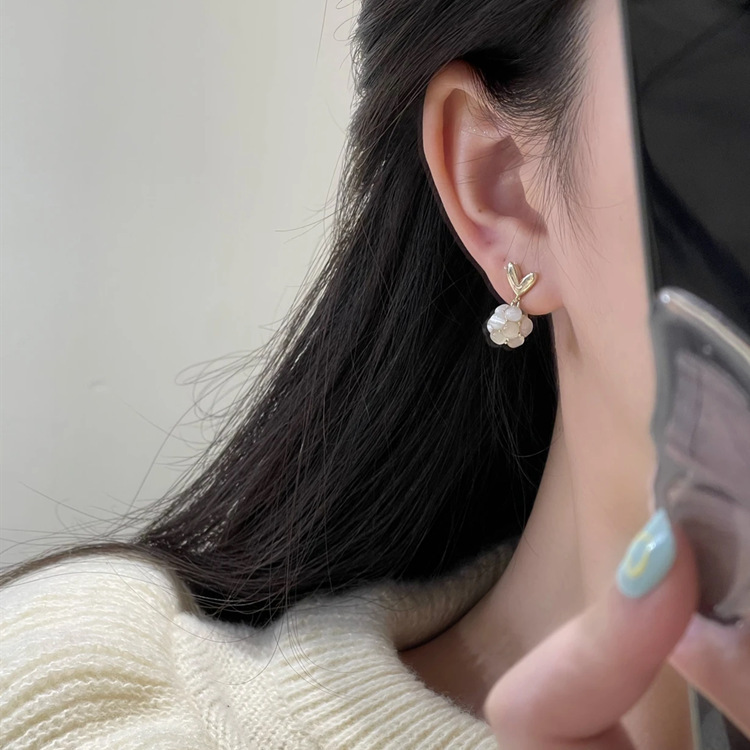 QQ圖片20230225160626