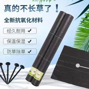 ���ݲ���Ƭ���ݲ���Ƭ�Ώ���׵ز��Ӻ��ϻ�͸��͸ˮ�@ˇ��ز�