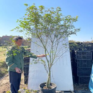 �uצ�ʘ���e��ͥԺ�����ͺ��G���L������~���ͅ����uצ�ʼt����