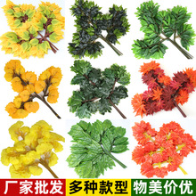 �����Ř�֦�t���y�Ә��~�ӈ@�֘�ľ�b����쾰���ϼ٘�֦�Gֲ��