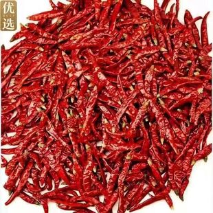 ���r��������������ħ����С������΢���t�������γ��콷�{�����l