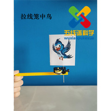 拉线笼中鸟视觉停留实验学生幼儿园科学益智玩具少儿diy科技小制