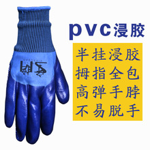 pvcc׷ĥczocˮͽz؄ڱ