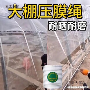 ģ���K��Nֲ�������������̴������߅�i�����l�Y��Ĥ������̫��